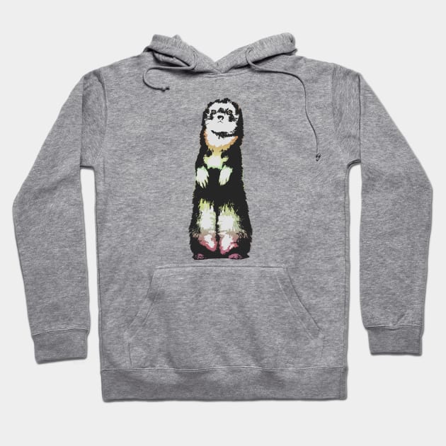 Ferret Hoodie by ImaginativeWild